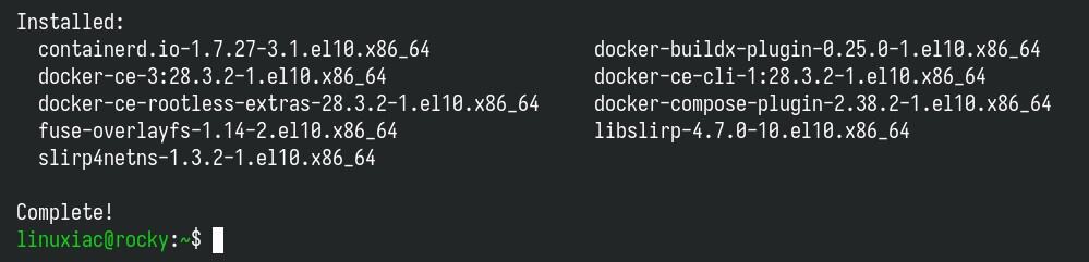 在 Rocky Linux 10 上安装 Docker。