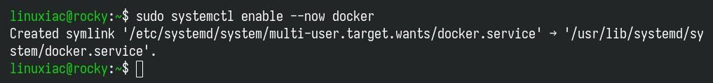 启动 Docker 并启用其 systemd 服务，以便它在启动时自动启动。